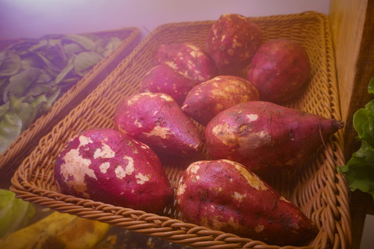 冷风柜中的红薯