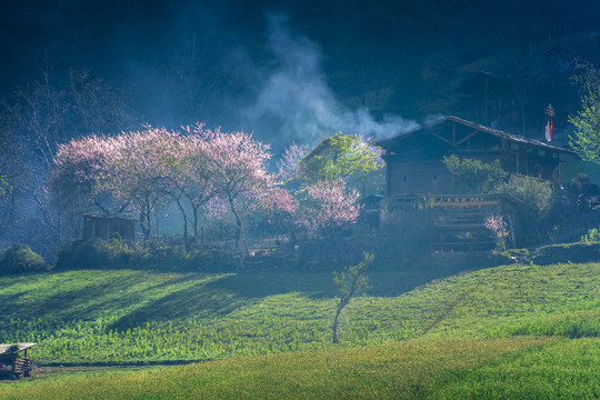 丙中洛雾里村