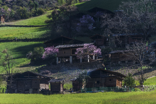 丙中洛雾里村