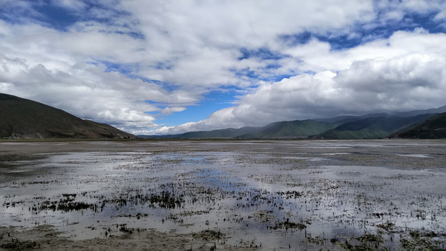 纳帕海湿地