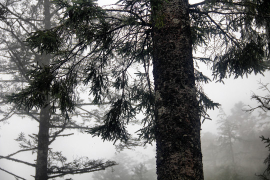 丽江玉龙雪山