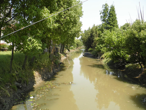 污染河道