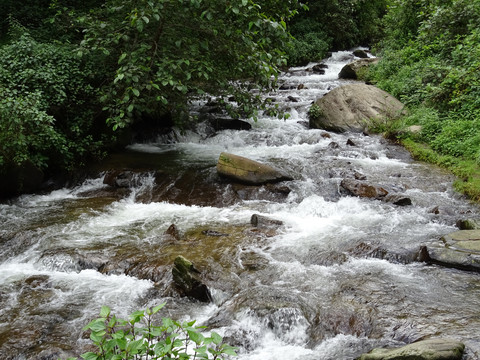 大山里的小溪