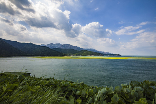 青岛崂山海滨