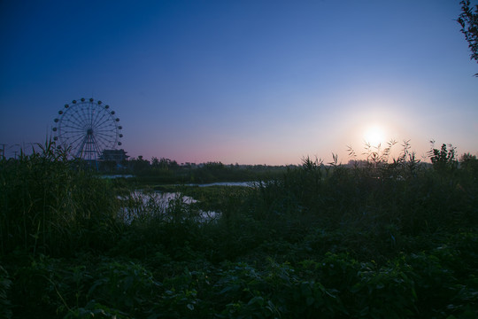 风景