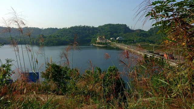 迎龙湖湿地公园