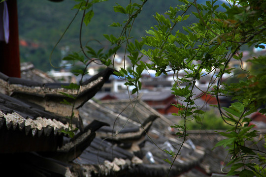 大研古城云南丽江