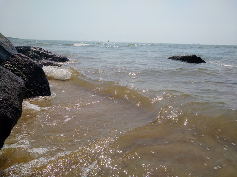海洋