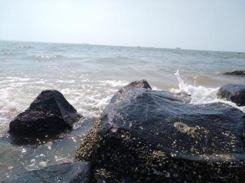 海岸线
