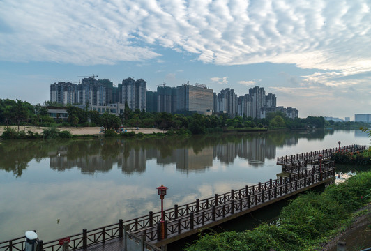 湿地公园