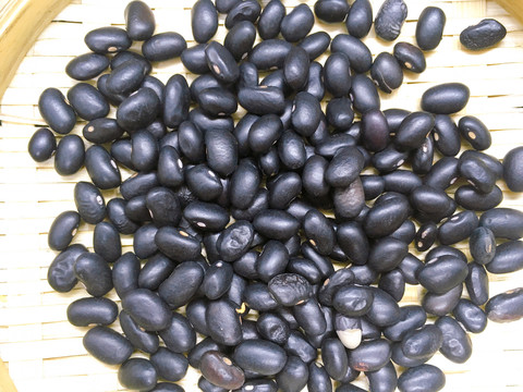 黑小豆