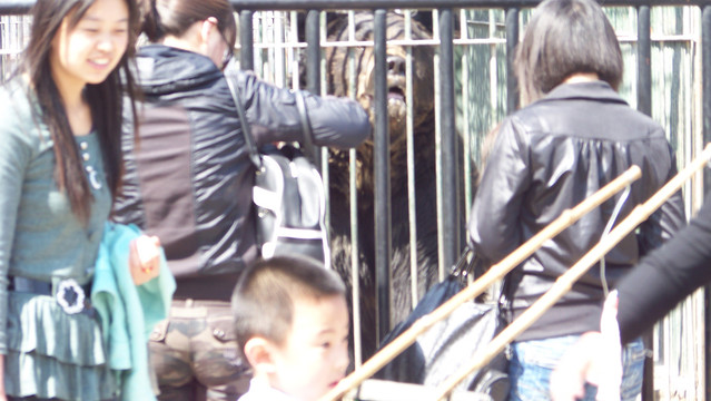 2009年的老太原市动物园