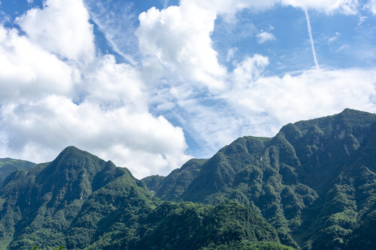 青山