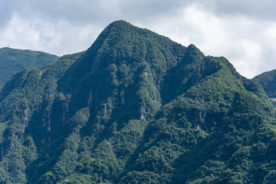 青山