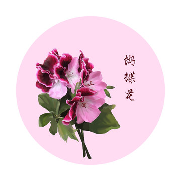 蝴蝶花