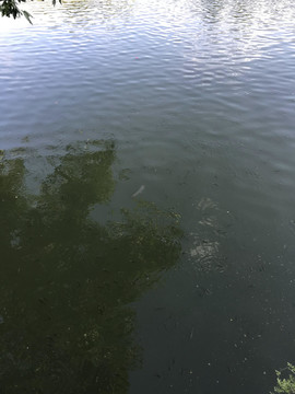湖水