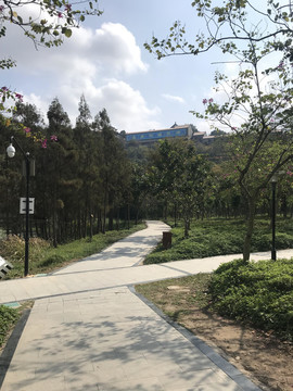 顺峰山
