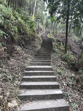 顺峰山