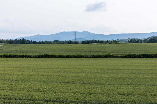 日本乡村