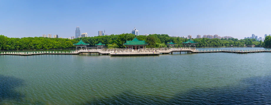 湖北武汉东湖风景区夏日风光