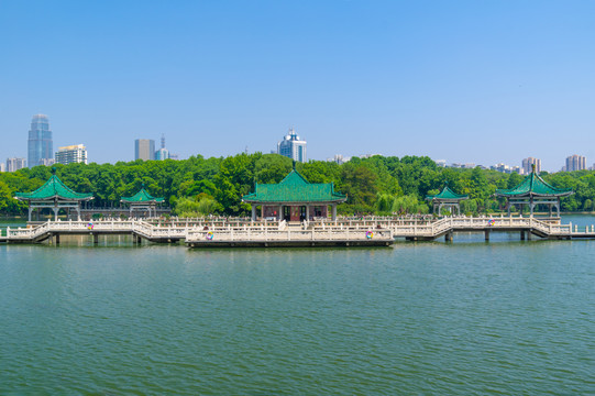 湖北武汉东湖风景区夏日风光