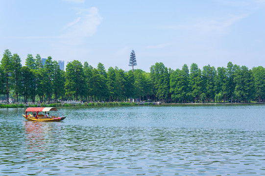 湖北武汉东湖风景区夏日风光