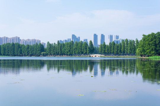 湖北武汉东湖风景区夏日风光