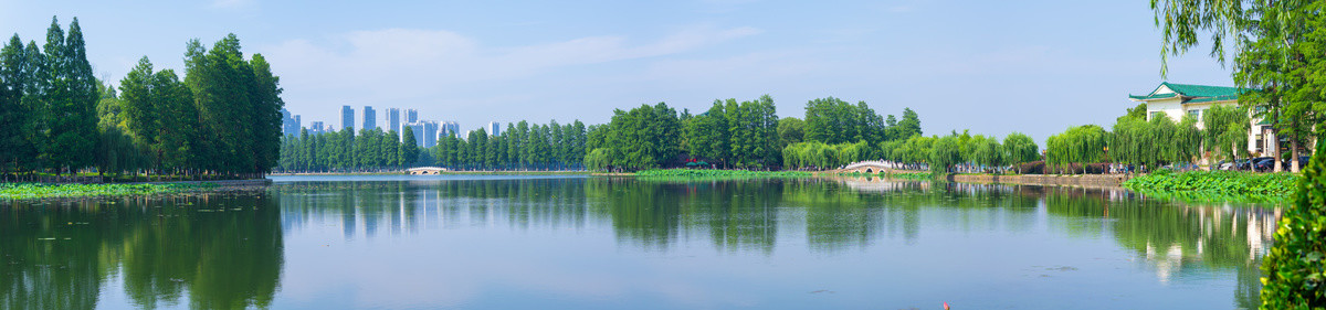 湖北武汉东湖风景区夏日风光