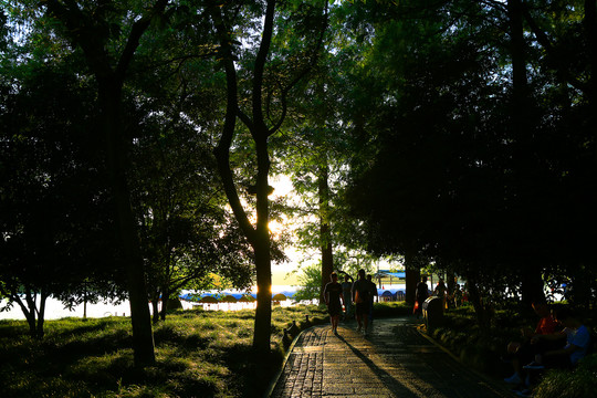 夕阳小路