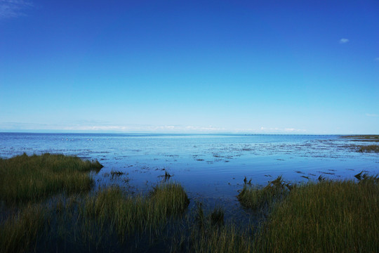 青海湖