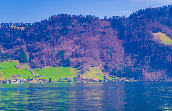 瑞士四森林湖