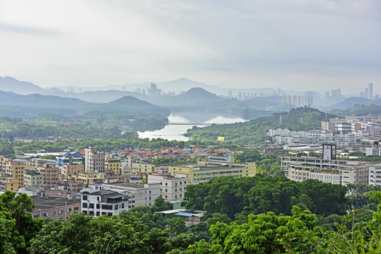 深圳铁岗水库