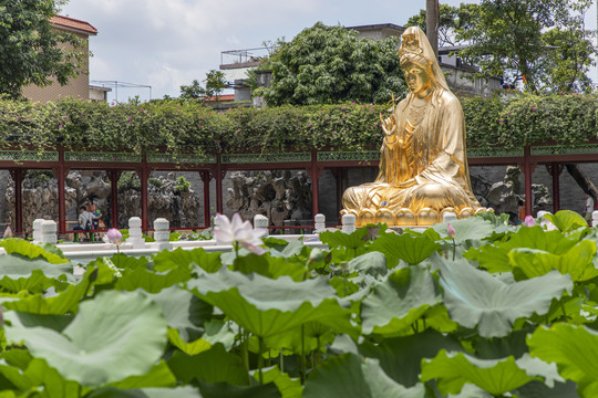 荷花池观音像