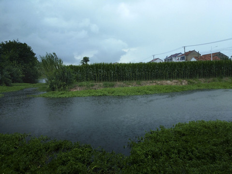 夏日暴雨乡村