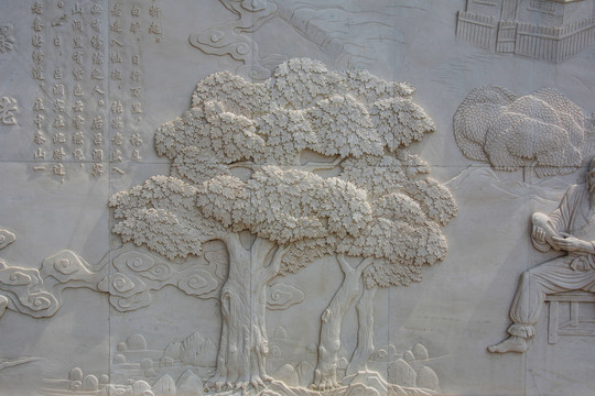 三棵枝叶茂盛的大树壁雕