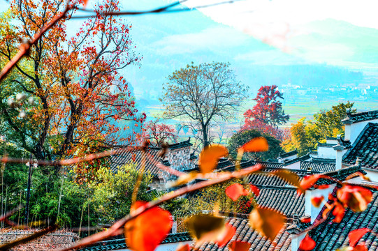 塔川风景