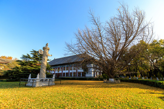 北京大学大雅堂华表草坪蓝天