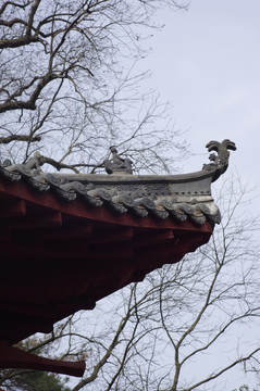 飞檐