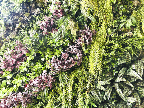 绿色花卉墙
