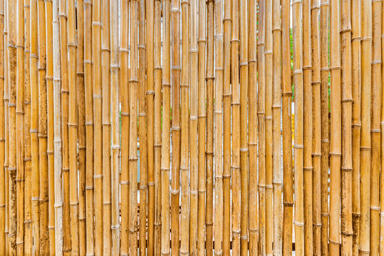 背景素材黄色竹排竹围墙