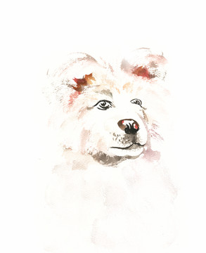 水彩动物白色的小狗