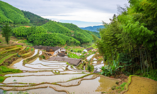 上堡梯田