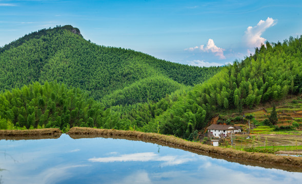 上堡梯田