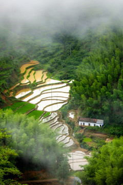 上堡梯田