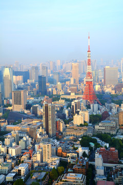 鸟瞰东京塔