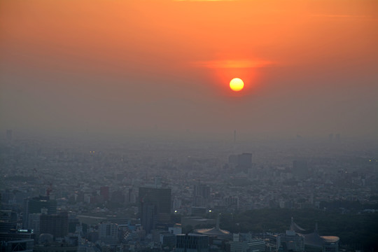 日落东京