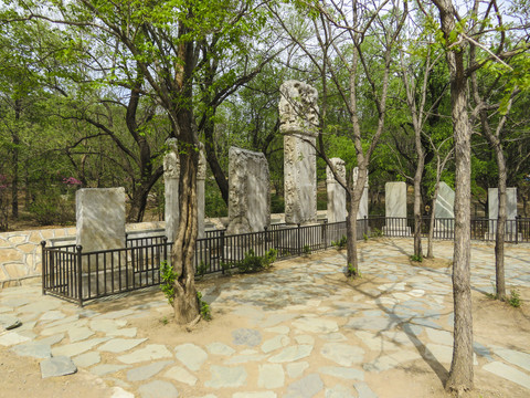 北京植物园碑林