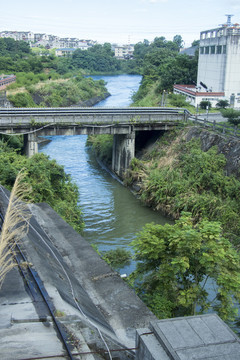 小河桥
