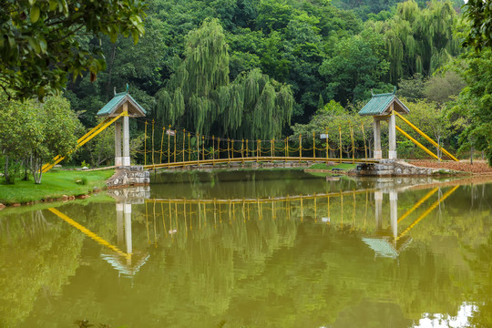 湿地公园沙滩海滩