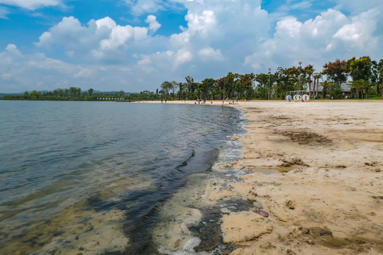 湿地公园沙滩海滩